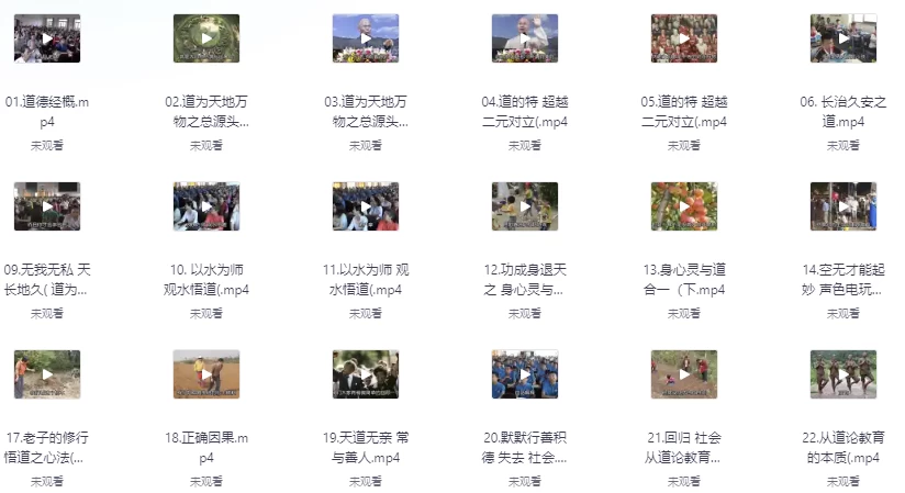 /posts/lession-daodejinggerenzhencangdahejidianzishu+yinpin+duotaoshoufeishipin/featured_image.webp