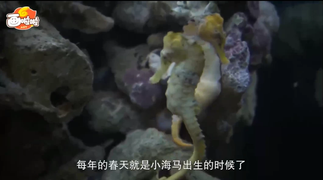 /posts/lession-haiyangkepuke-chuanyueqimiaohaidishijie-quan/featured_image.webp