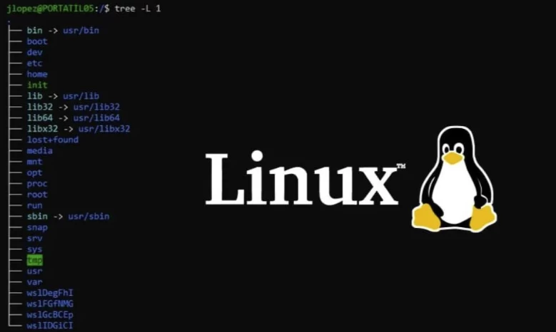 /posts/lession-linuxcongrumendaojingtong/featured_image.webp