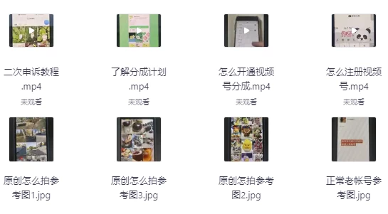 /posts/lession-shipinhaofenchengjihua-fashipinjixiangshangjiaguanggaoshouyi/featured_image.webp