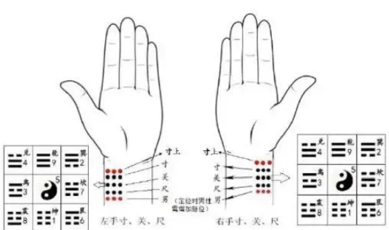 /posts/lession-taisumaifarumenjiaocheng-michuanmaifaduanrenjixiong/featured_image.webp